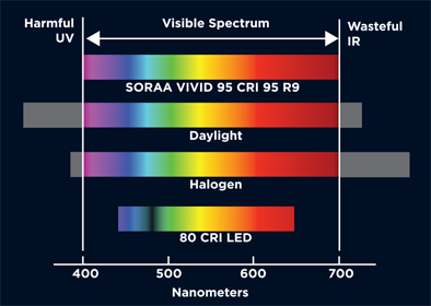 Spectrala™ Series: 24V Dotless High-CRI (95+) LED Strip 5m/16.4ft Reel (+  Options) - Lumicrest LED Lighting